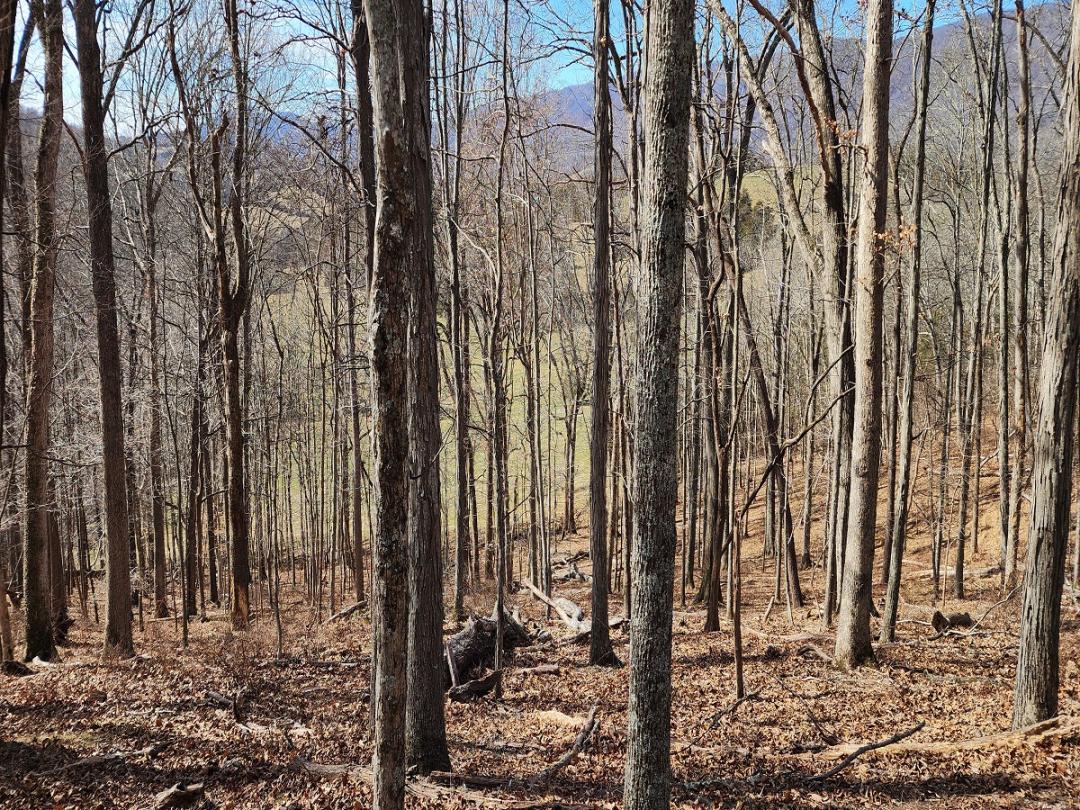 Middlebrook, VA 243.07 acres Land and Farms Realty